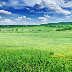 Similar image 960495