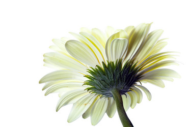 Similar image 960662