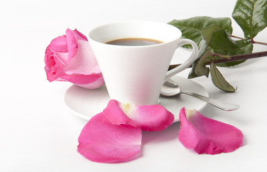 Similar image 960738