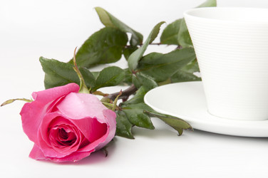 Similar image 960739