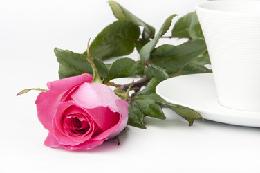 Similar image 960741