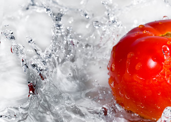 Similar image 960755