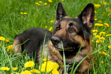 Similar image 960767