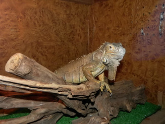 Similar image 960781