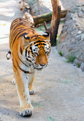 Similar image 960801