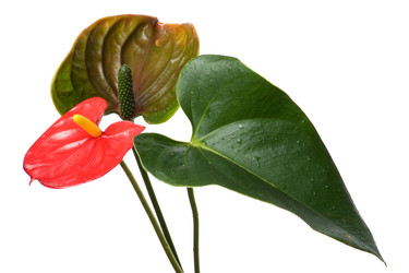 Similar image 960814