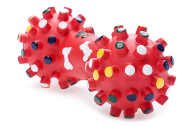 Similar image 960848