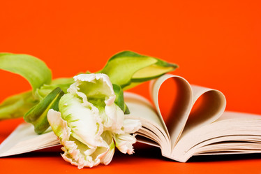 Similar image 960855