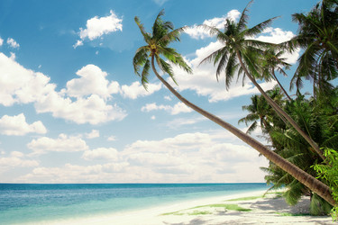 Similar image 960870