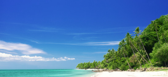 Similar image 960873