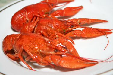 Similar image 960914