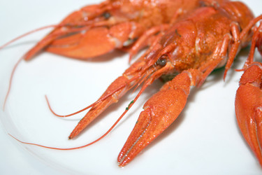 Similar image 960917