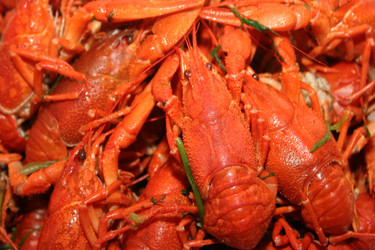 Similar image 960926