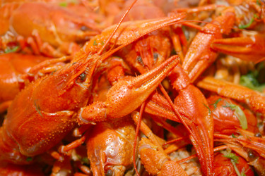 Similar image 960928