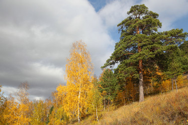 Similar image 960965