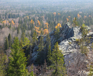 Similar image 960968