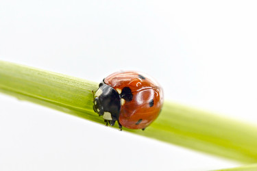 Similar image 960990