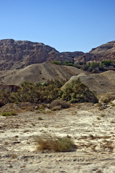 Similar image 961013