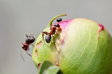 Similar image 961016