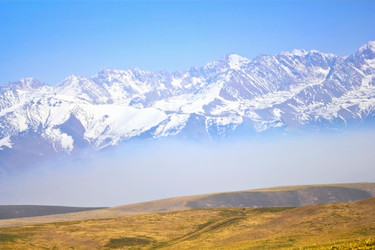 Similar image 961030