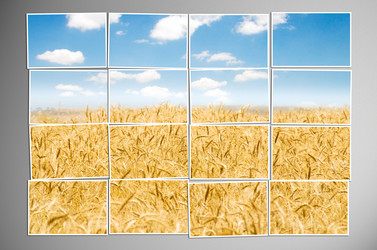 Similar image 961059