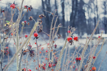 Similar image 961085