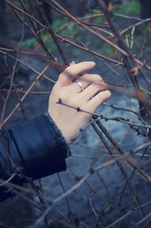 Similar image 961094