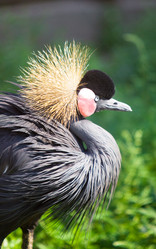 Similar image 961168