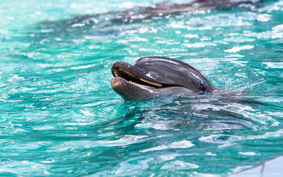 Similar image 961200