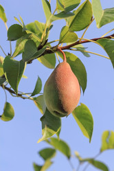 Similar image 961210