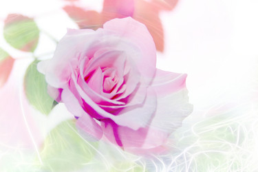 Similar image 961237