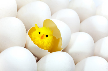 Similar image 961238