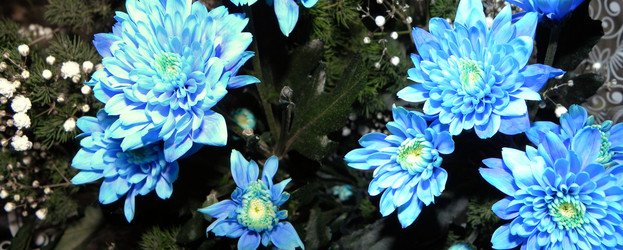 Similar image 961270