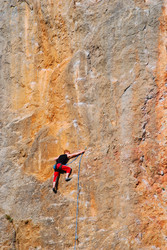 Similar image 961280