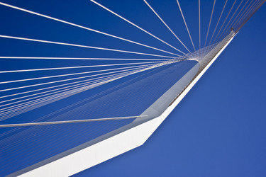 Similar image 961292