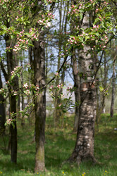 Similar image 961323