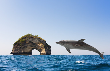 Similar image 961370