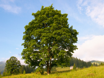 Similar image 961371