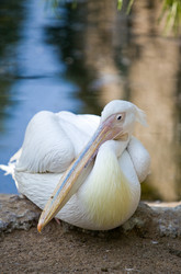 Similar image 961373