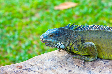 Similar image 961374