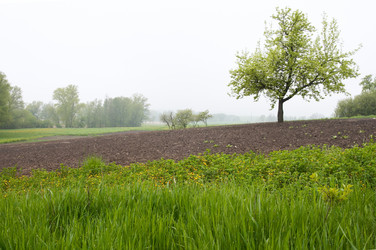 Similar image 961385