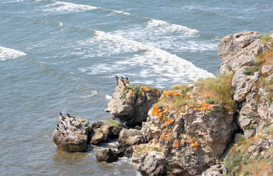 Similar image 961391