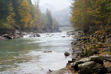 Similar image 961408