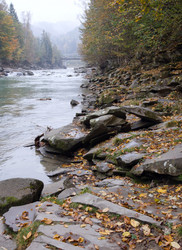 Similar image 961410