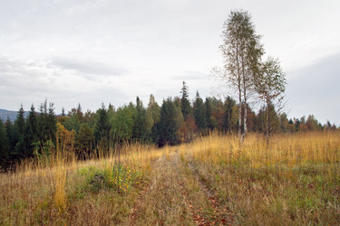 Similar image 961430