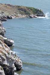 Similar image 961441