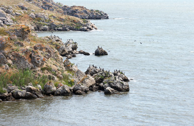 Similar image 961442