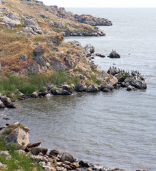 Similar image 961443