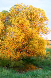 Similar image 961449