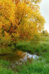 Similar image 961453